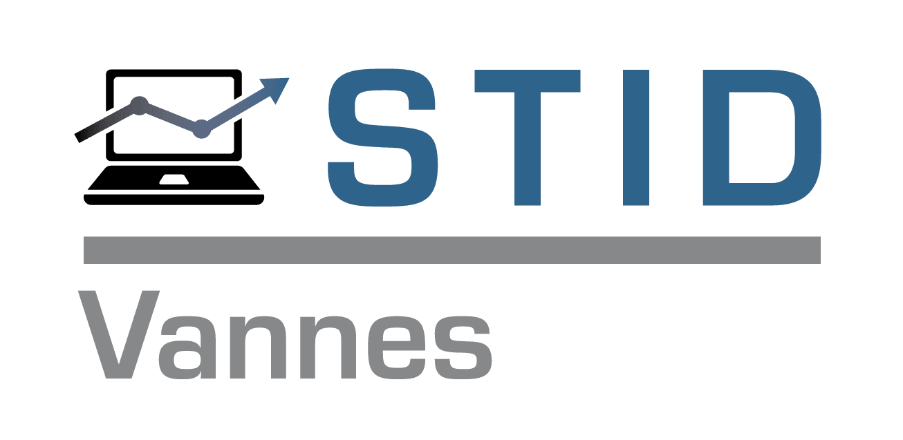 Logo cursus STID de l'IUT de Vannes