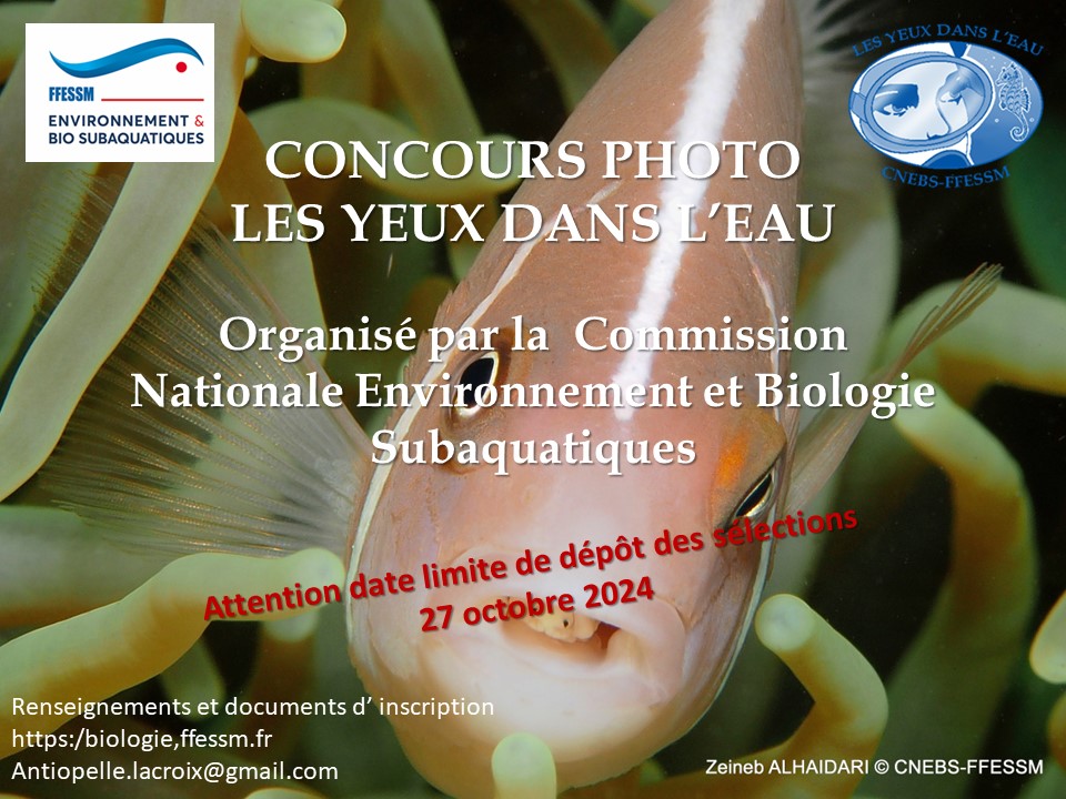 Affichette concours LYDLE 2024